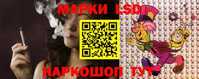 эйфоретик Новозыбков